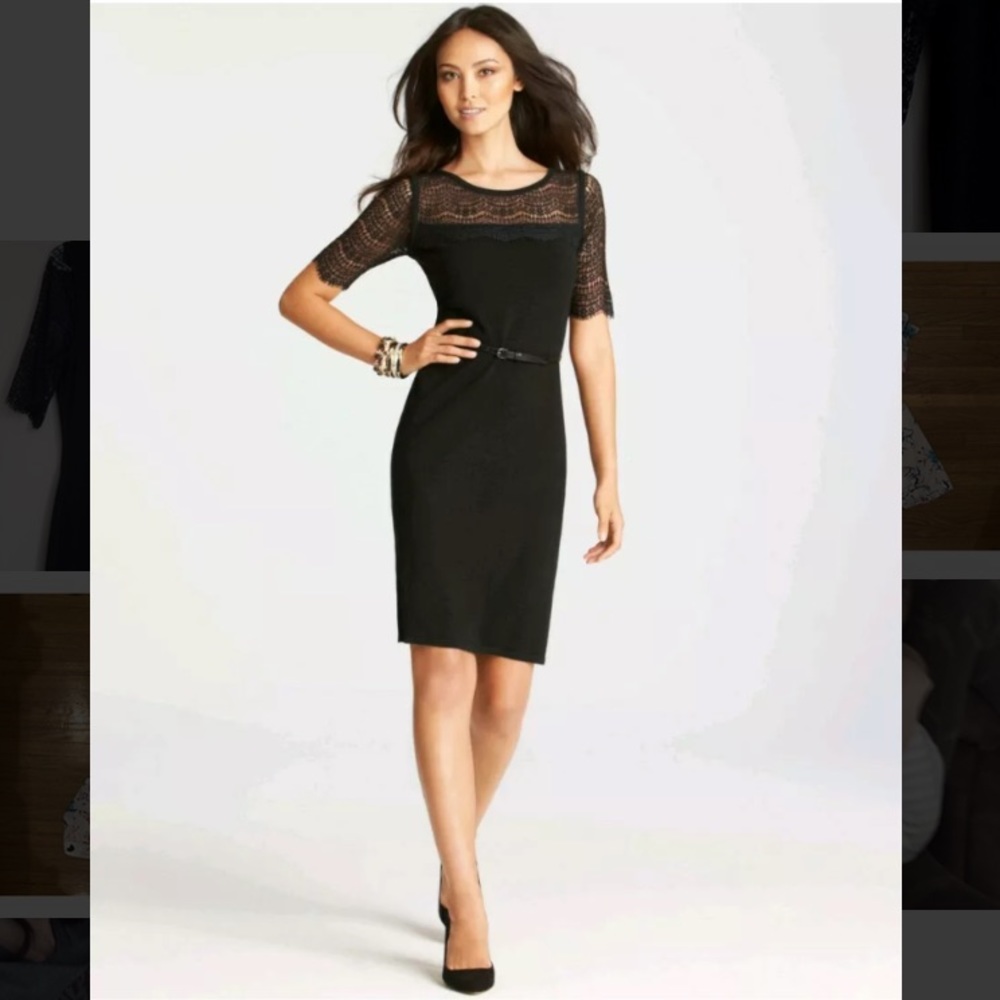 Ann Taylor Lace Sweater Dress